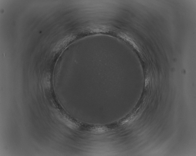 X0000070860402200606231258