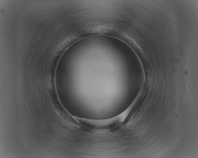 X0000070860403200606231258