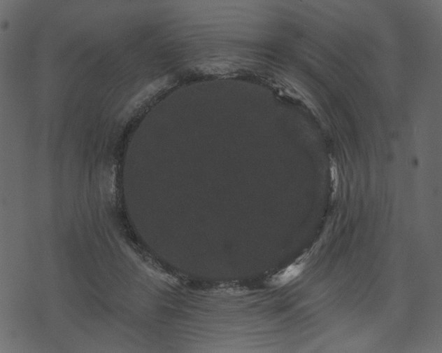 X0000070860404200606231258