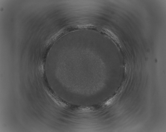 X0000070860405200606231258