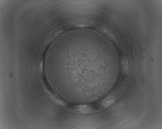 X0000070860406200606231258