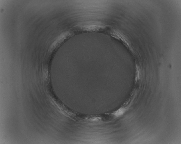 X0000070860407200606231258