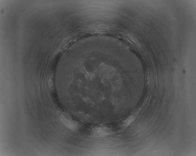 X0000070860408200606231258