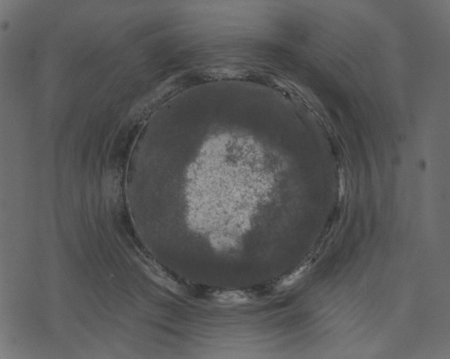 X0000070860409200606231258