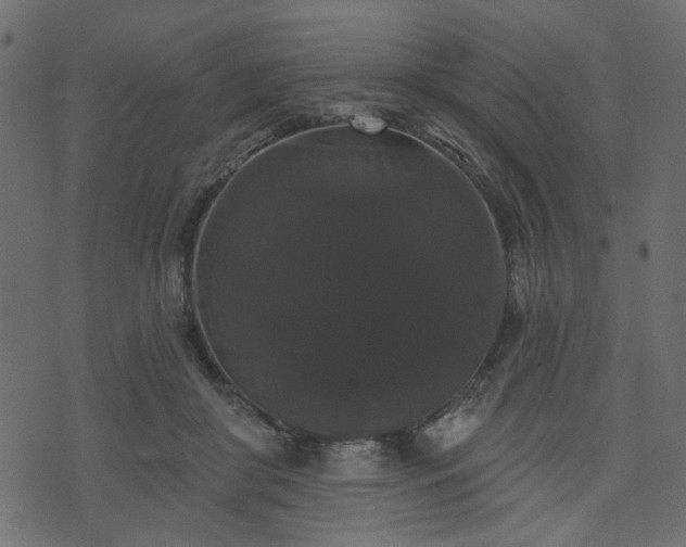 X0000070860410200606231258