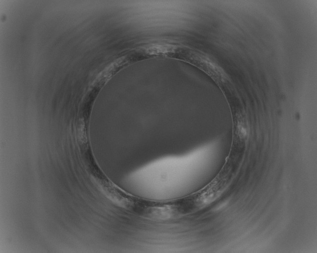 X0000070860411200606231258