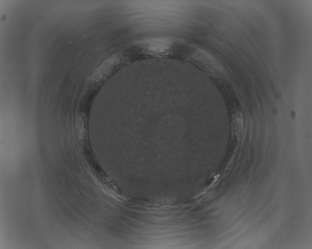 X0000070860412200606231258