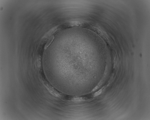 X0000070860413200606231258