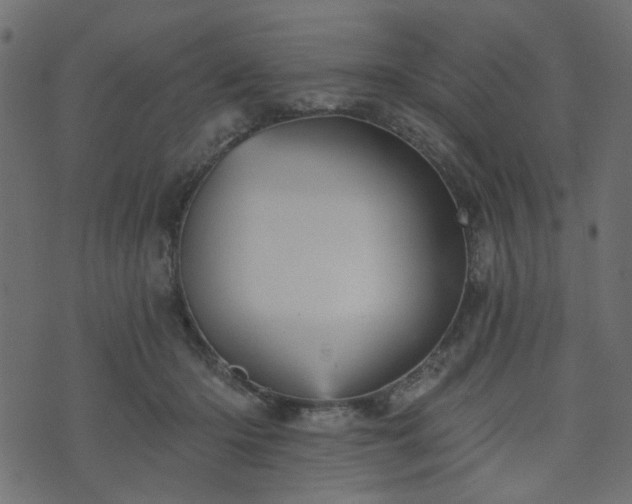 X0000070860414200606231258