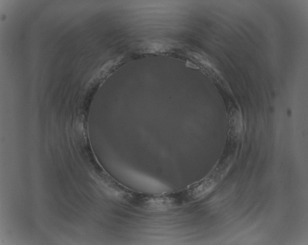 X0000070860415200606231258