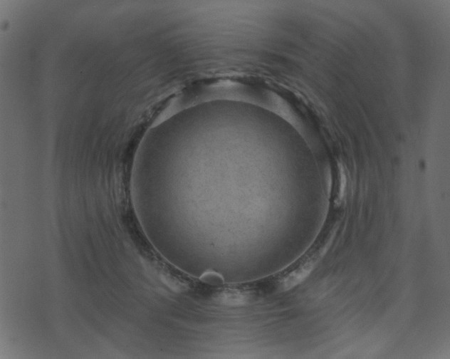 X0000070860416200606231258