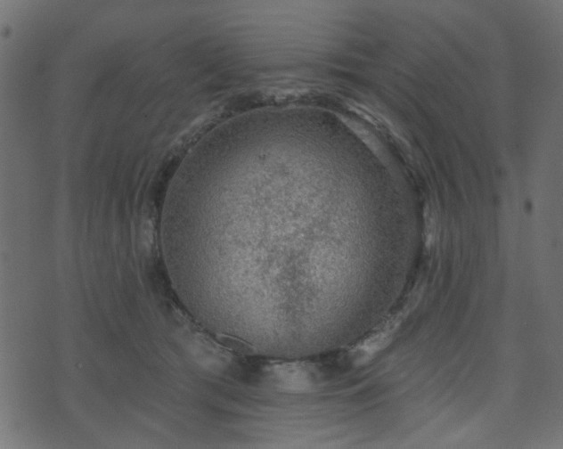 X0000070860417200606231258