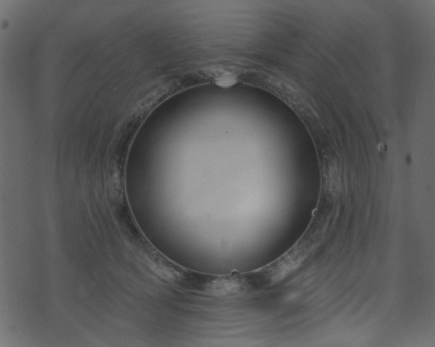 X0000070860418200606231258