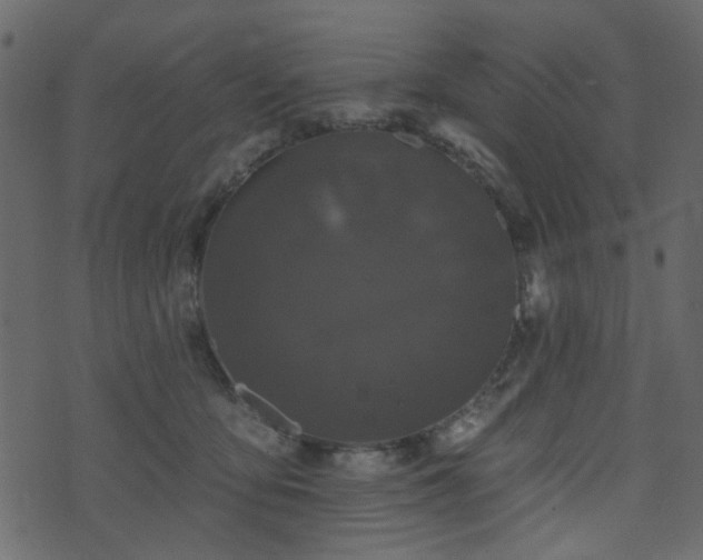 X0000070860419200606231258