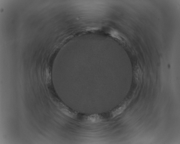 X0000070860420200606231258