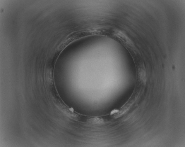 X0000070860421200606231258