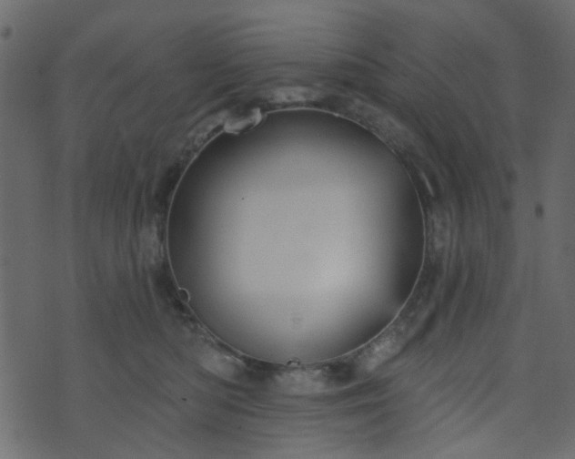 X0000070860422200606231257