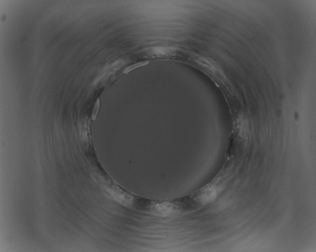 X0000070860423200606231257