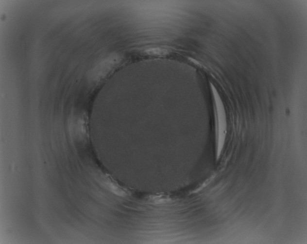 X0000070860424200606231257