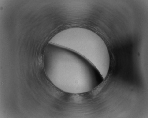 X0000070860425200606231257