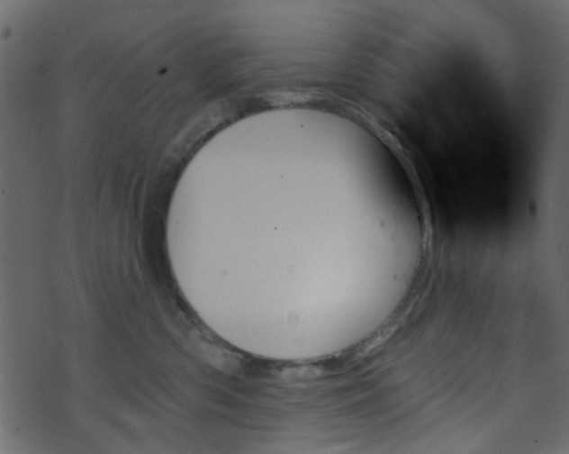 X0000070860426200606231257