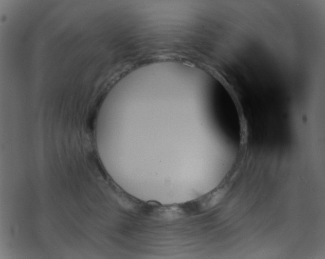 X0000070860427200606231257