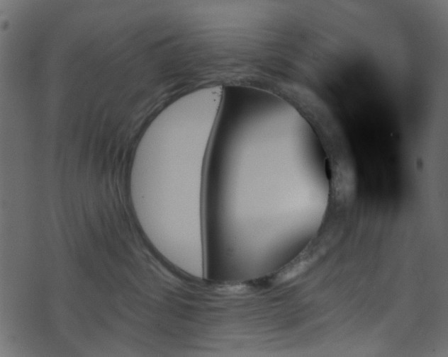 X0000070860428200606231257