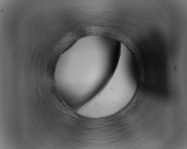 X0000070860429200606231257