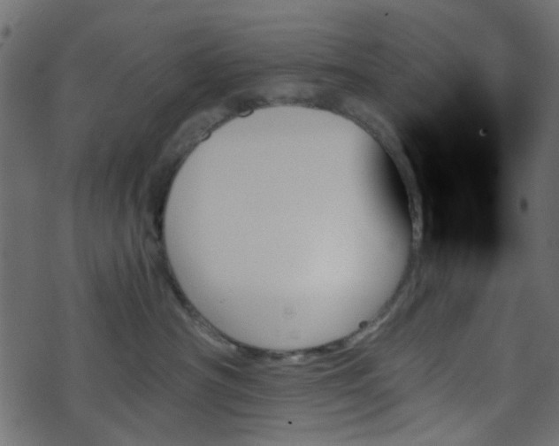 X0000070860430200606231257