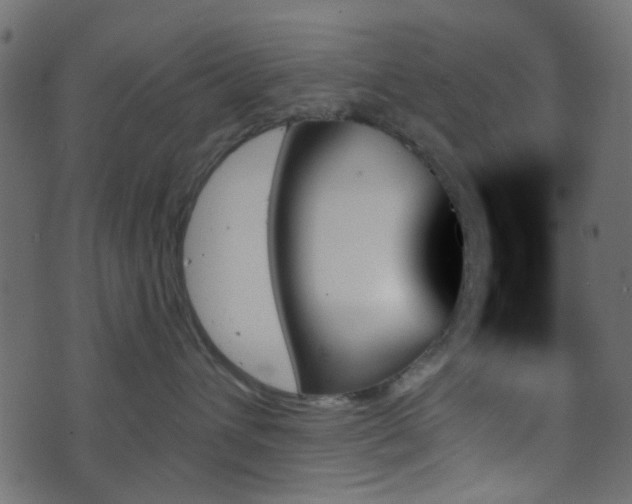 X0000070860432200606231257