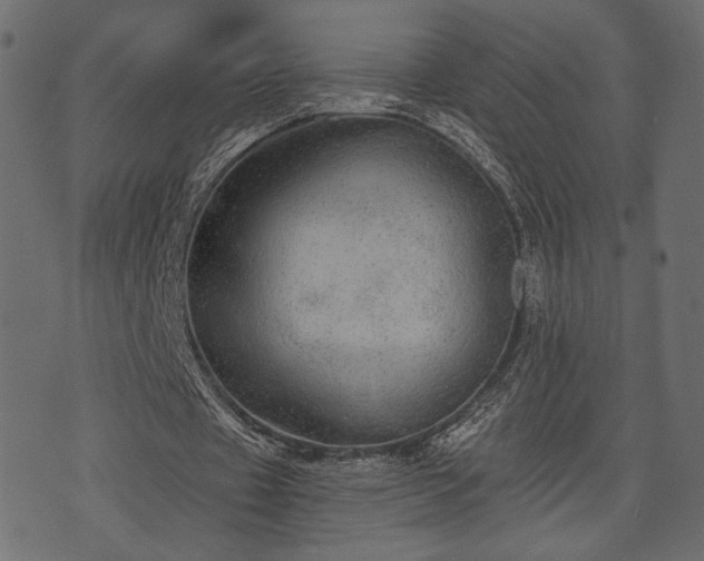 X0000070860433200606231257