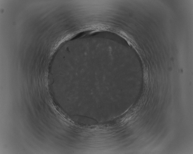 X0000070860434200606231257