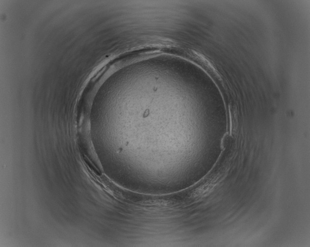 X0000070860435200606231257