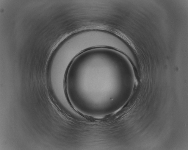 X0000070860436200606231257