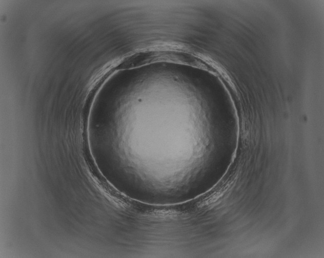 X0000070860437200606231257