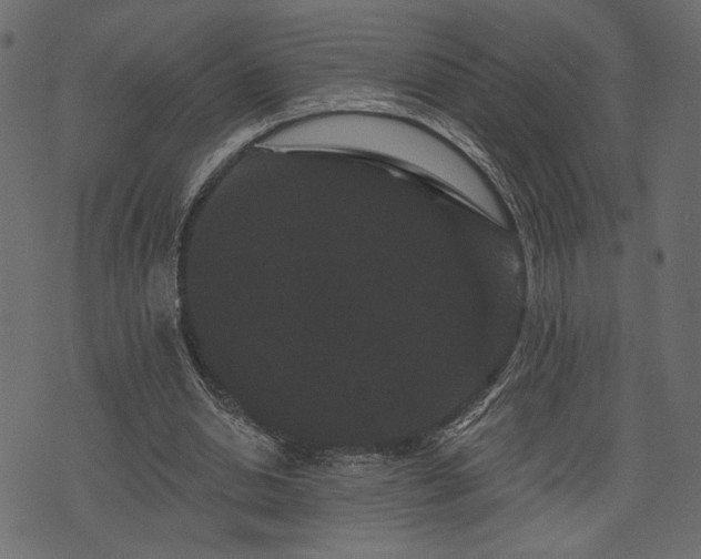 X0000070860438200606231257