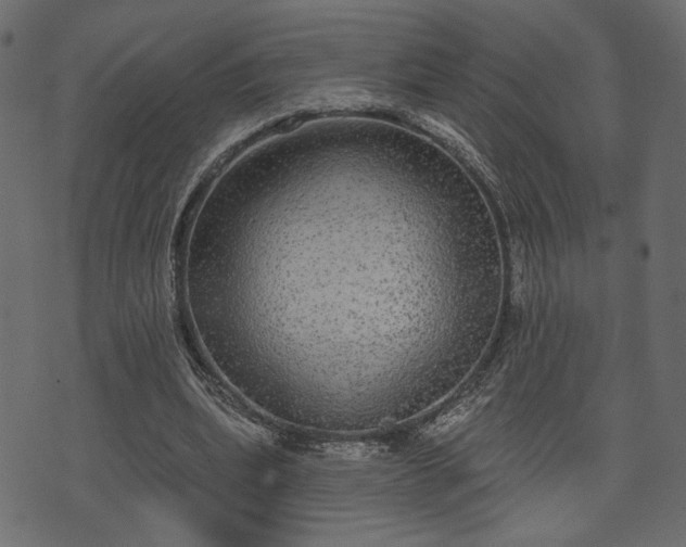 X0000070860439200606231257