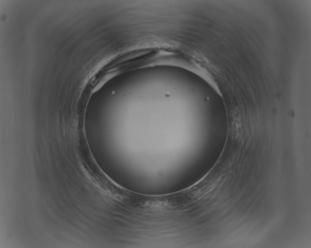 X0000070860440200606231257