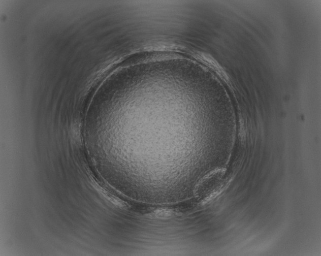 X0000070860441200606231257