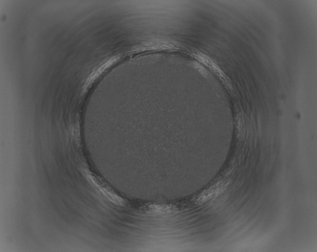 X0000070860442200606231257