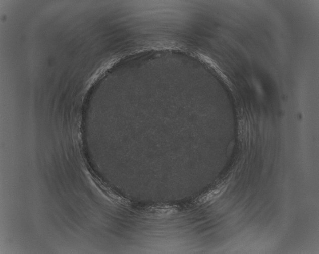 X0000070860443200606231257