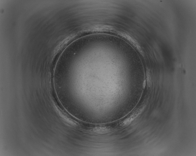 X0000070860445200606231257