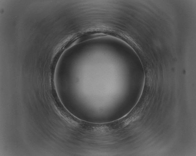 X0000070860446200606231257