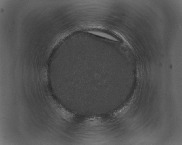 X0000070860447200606231257