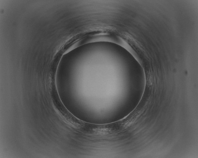 X0000070860448200606231257