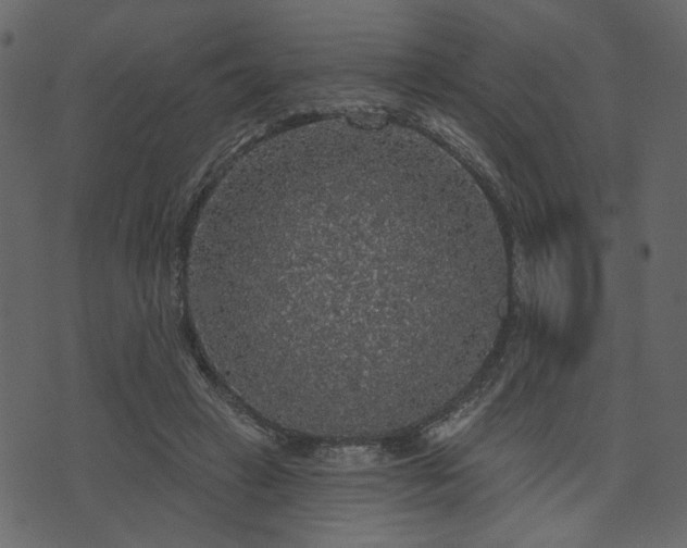 X0000070860449200606231257