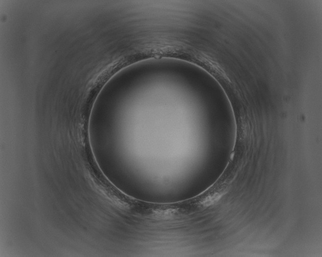 X0000070860450200606231257