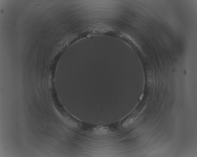 X0000070860451200606231257