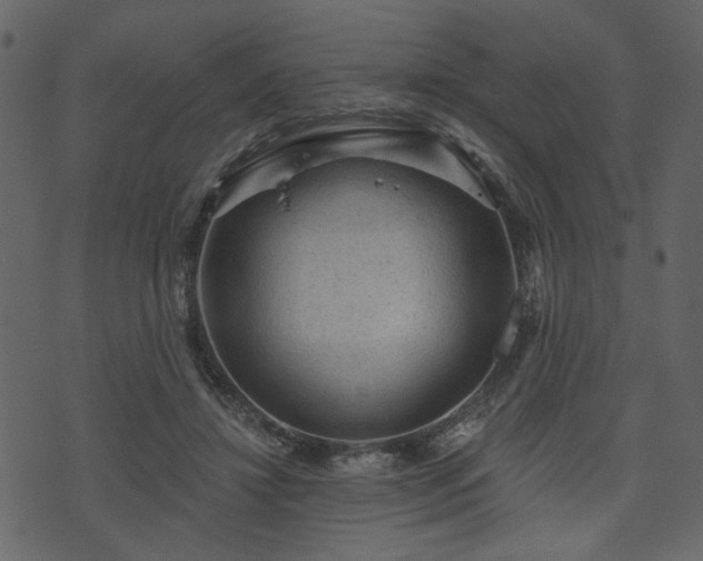 X0000070860452200606231257