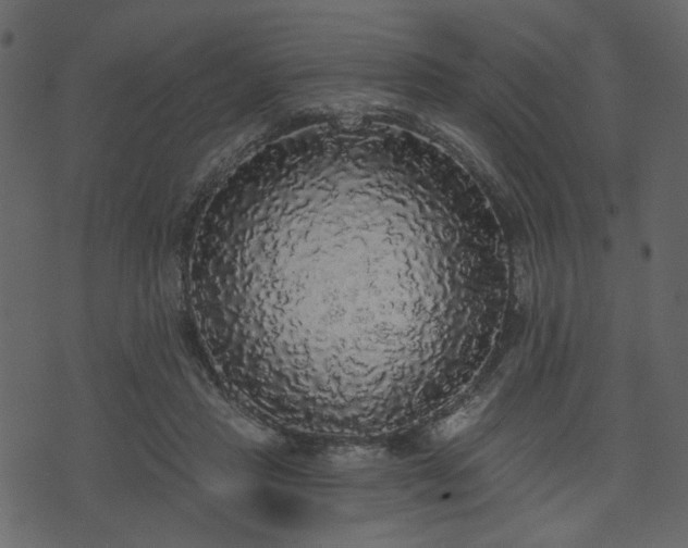 X0000070860453200606231257